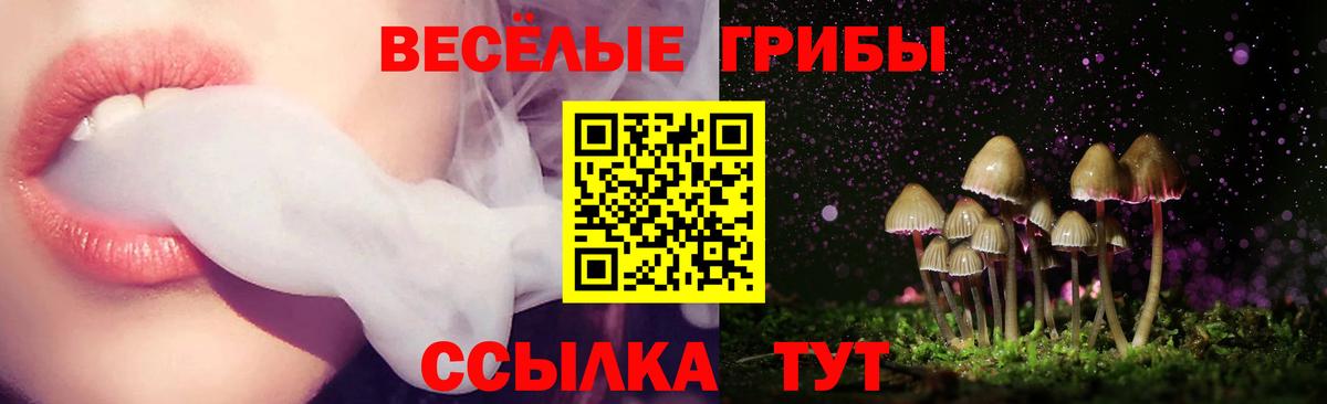 Псилоцибиновые грибы Psilocybe  наркошоп  Зеленокумск  Вход с VPN 